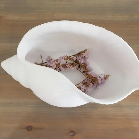 Feel - Saudade 57 * ナザレ