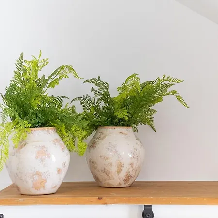 アパート Feel - Saudade 57 *