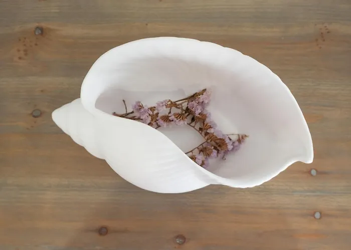 Feel - Saudade 57 * Назаре